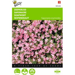 2 stuks - Saponaria ocymoides Zeepkruid Rose