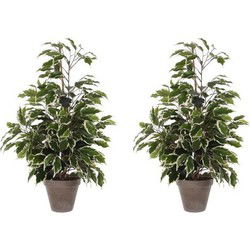 Mica Decorations Kunstplant Ficus - 2x - groen/wit - 65 cm - binnen - Kunstplanten