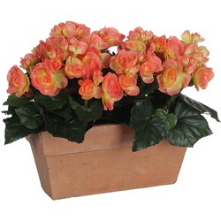 Mica Decorations begonia zalm in balkonbak slate terra - 29x13x25