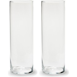 Set van 2x stuks cilinder bloemenvaas/bloemenvazen 10 x 30 cm transparant glas - Vazen