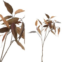 PTMD Leaves Plant Eucalyptus Blad Kunsttak - 46 x 56 x 94 cm - Bruin