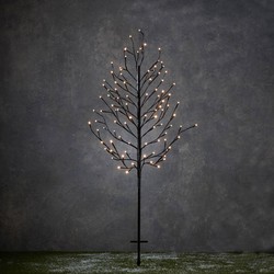 Luca Lighting Boom 96 LED Kerstverlichting - 80x121 cm - Klassiek Wit