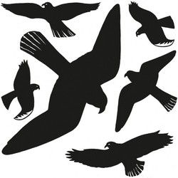 Vogel afweer raamstickers - 6x - zwart - op een vel van 30 x 30 cm - Vogelverjagers