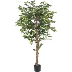 Kunstplant Ficus 180 cm brandvertragend | NeverLeafs