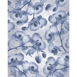 Komar fotobehang Orchidée blauw - 200 x 250 cm - 611185