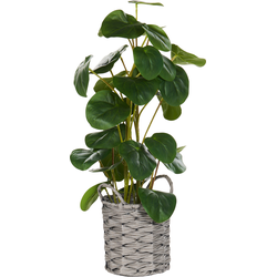 KIBETI  - Kunstplant - Groen - 55 cm - Synthetisch