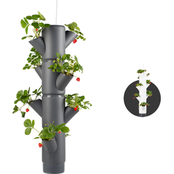 Gusta Garden - Sissy Strawberry - Aardbeien Planten - Aardbeienzak - Kweekbak - Kweektafel - Plantentoren met 4 Levels - Hangend Antraciet