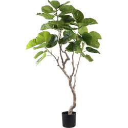 PTMD Kunstplant Ficus - 109x115x152 cm - Polyester - Groen