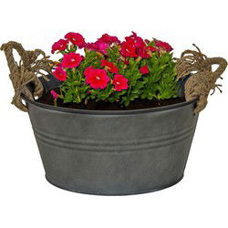 Mega Collections teil/plantenpot Old Rope - zink - antraciet - D30 X H14 cm - IJzeren emmer / teil