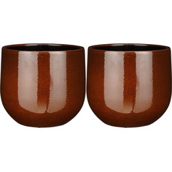 2x stuks plantenpot/bloempot bruin speels licht gevlekt patroon - D25/H20 cm - Plantenpotten