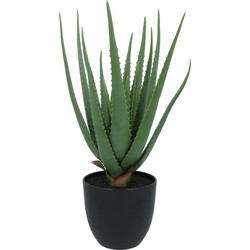 Kopu® Kunstplant Aloe Vera 55 cm in zwarte Bloempot - 17 bladeren