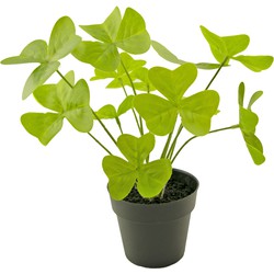 Greenmoods Kunstplant Klaver - Trifolium - Zwarte sierpot - Nep plant - 1 Stuk - 30cm -