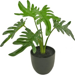 Kunst Philodendron 26 cm in sierpot zwart | NeverLeafs