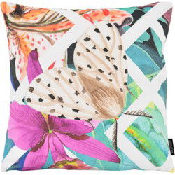 Velvet Butterfly #1 | 45 x 45 cm | Kussenhoes | Velvet/Polyester