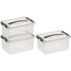 3x Kunststof stapelbare opbergbak 6 liter 30 cm - Opbergbox