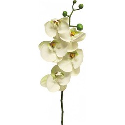 Kunst Phalaenopsis Orchidee Bora 58 cm - Wit - Nova Nature