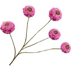 Zinnia tak lavendel 91 cm Silk-Ka