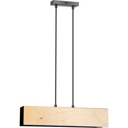 scandinavische hanglamp Messina Zwart 2-lichts