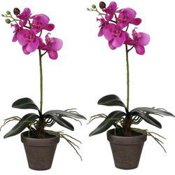 2x stuks phalaenopsis Orchidee kunstplanten paars in grijze pot H48 x D13 cm - Kunstplanten