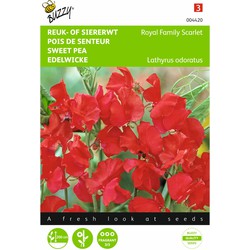 2 stuks - Lathyrus odoratus Royal Family Rood - Buzzy