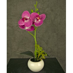 Greenmoods Kunst Orchidee - Phalaenopsis - Nep plant - 1 Stuk - 28cm - Fuchsia/Wit