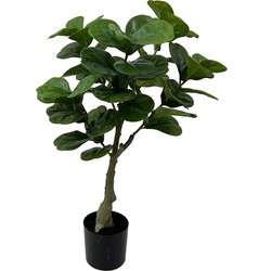 Kunstplant Ficus - Groen - 45x45x72cm