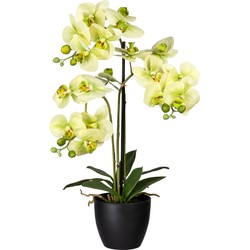 Kopu® Kunstbloem Orchidee 65 cm Groen met zwarte Schaal - Phalenopsis