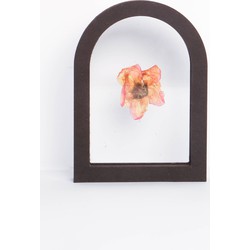 Arch holder - small