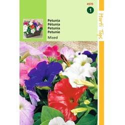 2 stuks - Saatgut Petunia niedrig gemischt - Hortitops