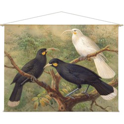 Oceanische vogels - 180 x 130 cm
