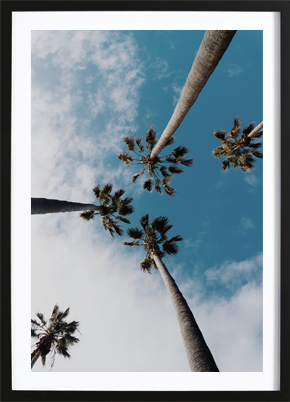 Palms In The Sky Poster (21x29,7cm) - 