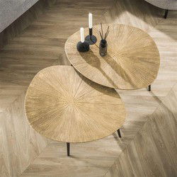 Hoyz Collection - Salontafel Set-2 Organisch Ray - Brons/Goud Metaal