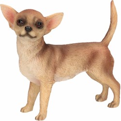 Bruine Chihuahua decoratie beeldje 10 cm - Beeldjes