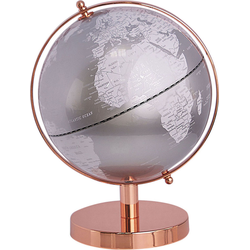 CABOT - Globe - Zilver/ RosÃ©goud - Synthetisch materiaal