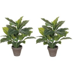 4x stuks groene Philodendron kunstplanten 49 cm met grijze pot - Kunstplanten