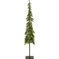 Alpine fir prelit d60h240 cm groen/wwt kerst