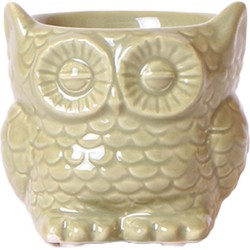 Kolibri Home | Owl bloempot - Groene keramieken sierpot - Ø6cm