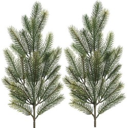 2x Kerstversiering dennentakken/dennentakjes groen 66 cm - Decoratieve tak kerst