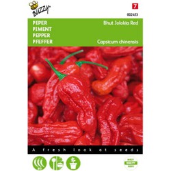 5 stuks - Peper Bhut Jolokia Red Tuinplus