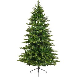 Galloway spruce d150h240cm groen