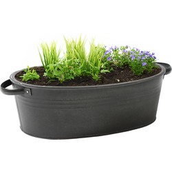 Mega Collections teil/plantenpot Farmer - ovaal - zink - zwart - L33 x D23 X H14 cm - IJzeren emmer / teil