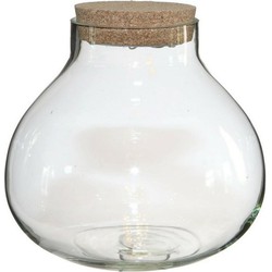 Ideas4seasons Pot/vaas van glas voor planten ecosysteem - deksel met LED verlichting - D20 x H20 cm - Vazen