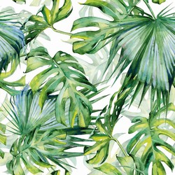 Buiten canvas 58x58 cm monstera