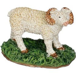 Ram l4xb2,5xh3,3cm