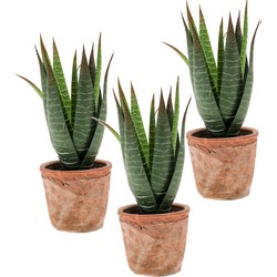Set van 3x stuks Aloe Vera kunstplanten in terracotta pot 23 cm - Kunstplanten