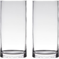 Set van 2x stuks glazen bloemen cylinder vaas/vazen 30 x 12 cm transparant - Vazen