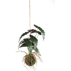 PTMD Trifolium Kunstplant - 30 x 28 x 42 cm  - Kunststof - Groen
