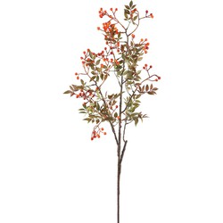 PTMD Berry Kunstplant - 62 x 30 x 110 cm  - Kunststof - Oranje