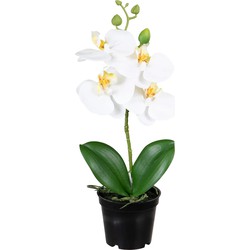 Louis Maes Orchidee bloemen kunstplant op plug - bloemen/bloemetjes - wit/groen - H33 cm - Kunstplanten