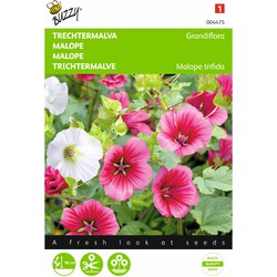 2 stuks Malope trifida grandiflora Gemengd